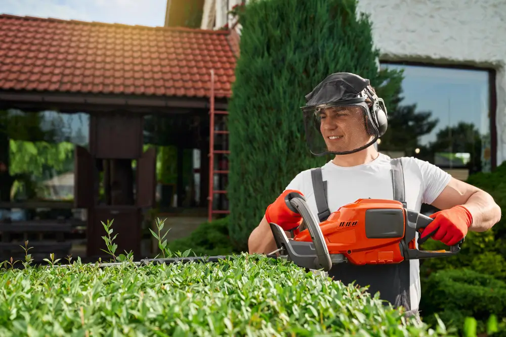 Transforme Seu Espaço com a Beleza e Harmonia da Jardinagem